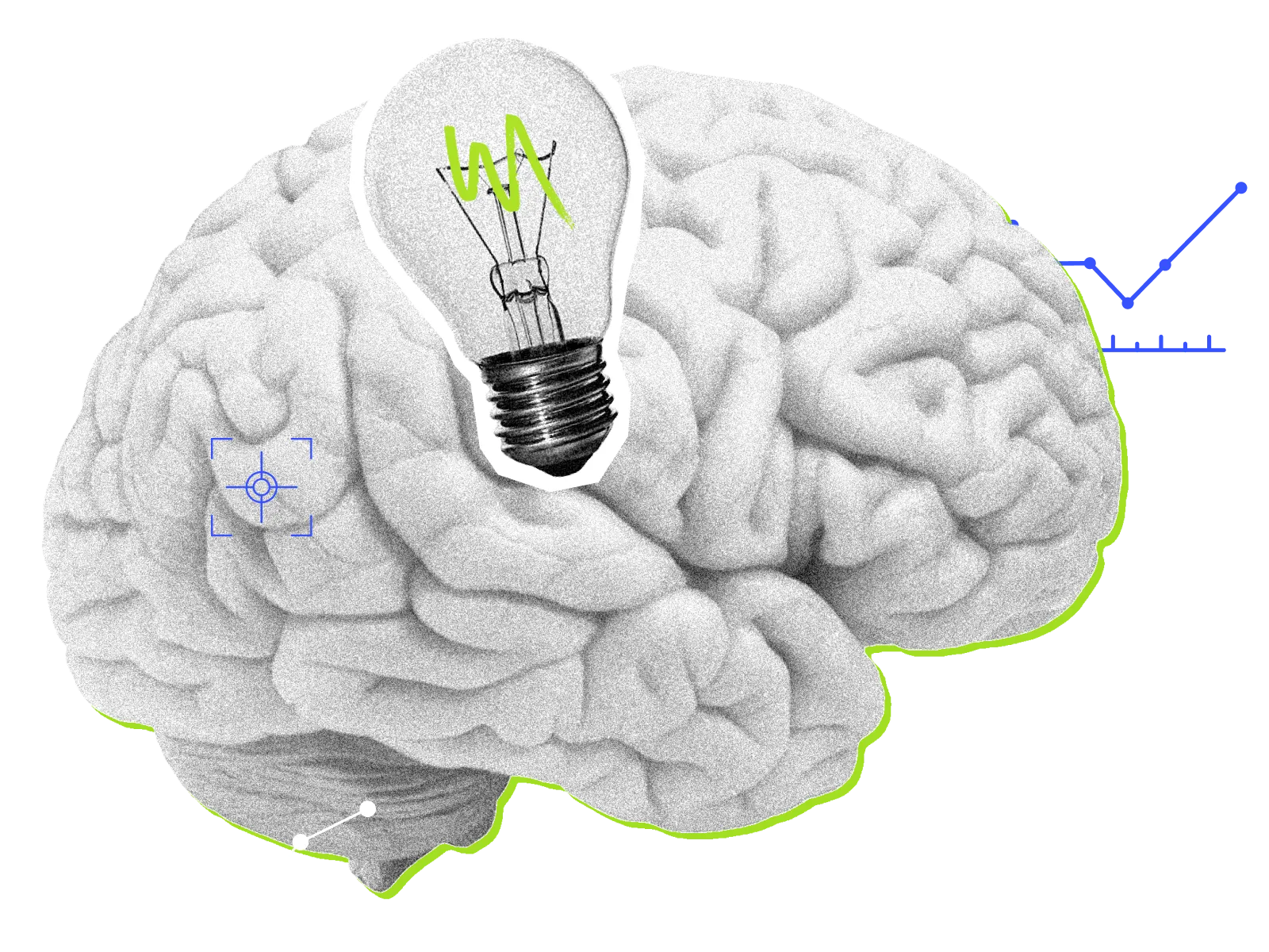 Brain illustration